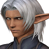 Avatars-FF11-FFFury (6).gif